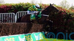 Jonbon back in action in &lsquo;competitive&rsquo; Shloer Chase