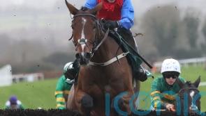 Facile Vega gets chasing career off to fine start