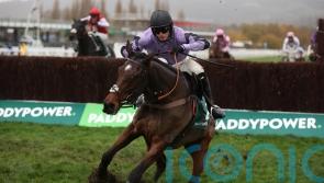 Stage Star survives late scare to claim Paddy Power glory