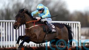 Coral Gold Cup is Mahler&rsquo;s mission, says McConnell