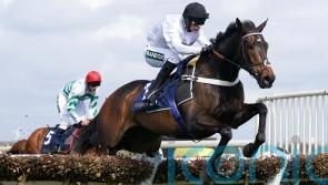 Constitution Hill &lsquo;all set&rsquo; to come out Fighting at Newcastle