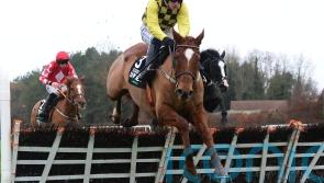 State Man untroubled in Morgiana Hurdle