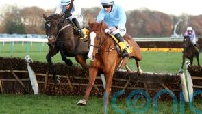 Slate Lane picks up valuable Haydock pot for Emmet Mullins