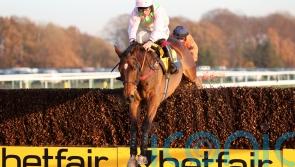 Royale Pagaille upsets Bravemansgame in Betfair Chase