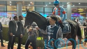 Superstar Equinox sparkles with Japan Cup glory