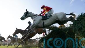 Vanillier pencilled in for Thurles return