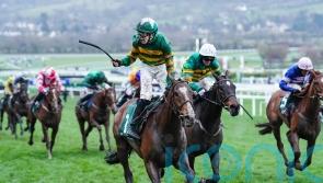 A Dream To Share sidelined until the new year