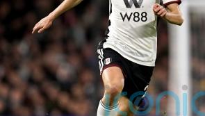 Football rumours: Mikel Arteta eyeing move for Joao Palhinha