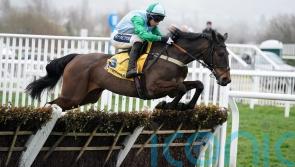 Top mares ready to take on Fighting Fifth test