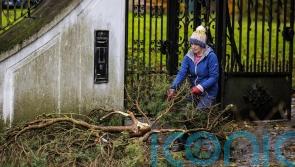 Storm Elin and Storm Fergus to bring gale force winds to Ireland