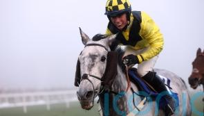 Tizzard pair showing no signs of ageing