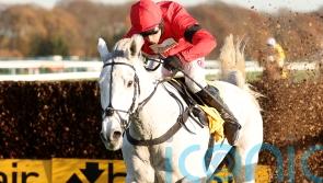 Skelton &lsquo;really happy&rsquo; with smart prospect Grey Dawning