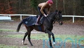 &lsquo;Unbelievable&rsquo; Ile Est Francais in great shape for Boxing Day