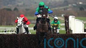 Ginny&rsquo;s Destiny continues on upward curve at Cheltenham