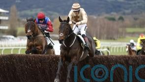 Broadway Boy puts on another show at Cheltenham