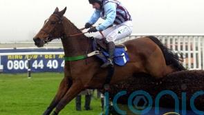 Edredon&rsquo;s blur of a King George was so special for Henrietta Knight