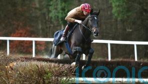 James Reveley has great faith in Il Est Francais