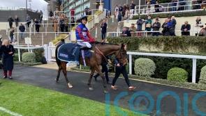 Lavelle so proud of gallant Paisley Park following epic Ascot battle