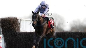 Joyeux Noel for George as Francais is Kempton star