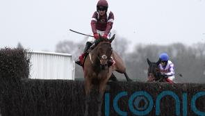 Master-ful Chewy bags Wayward Lad spoils