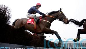 Fastorslow sidesteps Savills Chase due to Leopardstown ground