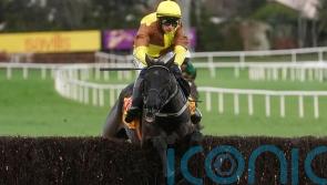 Galopin Des Champs sparkles with scintillating Savills success