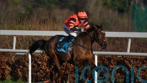 Jetara now going from strength to strength