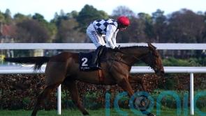Leopardstown winner Ballyburn shoots to Festival favouritism