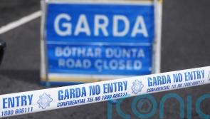 Deaths on Irish roads rose 19% last year to 184