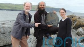 &lsquo;Exceptional&rsquo; 315-million-year-old fossil sponge found in Irish cliffs