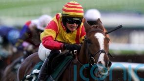 King considering Newbury or Huntingdon for Festival hope Lookaway