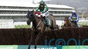 Cromwell sets sights on Cheltenham for Stumptown