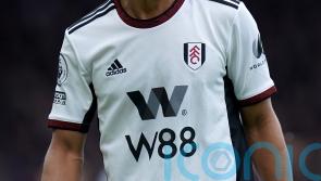 Bobby De Cordova-Reid stunner sees Fulham beat Rotherham in FA Cup