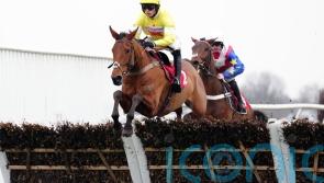 Kalif Du Berlais creates big impression at Kempton