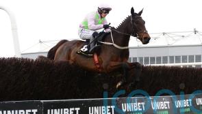 Connections facing Festival quandary with Gaelic Warrior