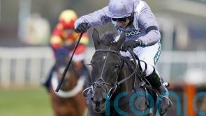 My Drogo set for switch back to smaller obstacles