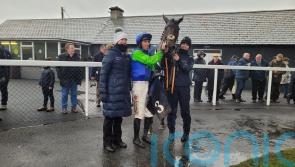 Harmonya Maker shows true colours at Thurles