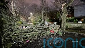 Storm Isha leaves thousands of people without power