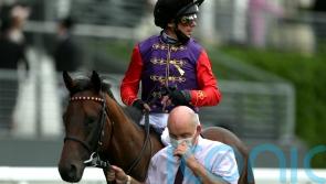 Reach For The Moon could yet be a royal representative at Cheltenham