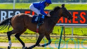 Military Order and The Foxes clash in Winter Derby Trial