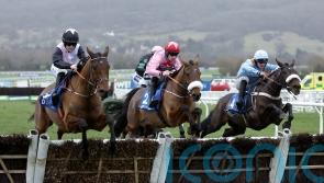 Bob Olinger on course for Irish Champion Hurdle