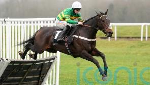 Jeriko Du Reponet tests Supreme credentials with Rossington run