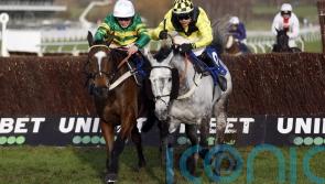 Elixir Du Nutz shocks favourite Jonbon in Clarence contest