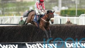 Cotswold second Whacker firmly on course for Festival date