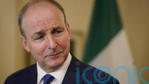 Tanaiste in favour of ban on disposable vapes