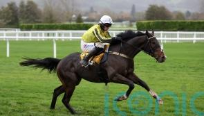 Burdett Road remains Triumph-bound despite Cheltenham reverse
