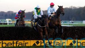 Grand National Trial next up for Famous Bridge