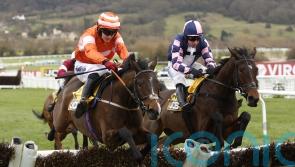 An Bradan Feasa out to make Listed leap at Musselburgh