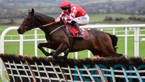 Greatrex thrilled to have Triumph-bound Mighty Bandit in his care