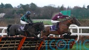 Cheltenham tilt not guaranteed for Gaoth Chuil